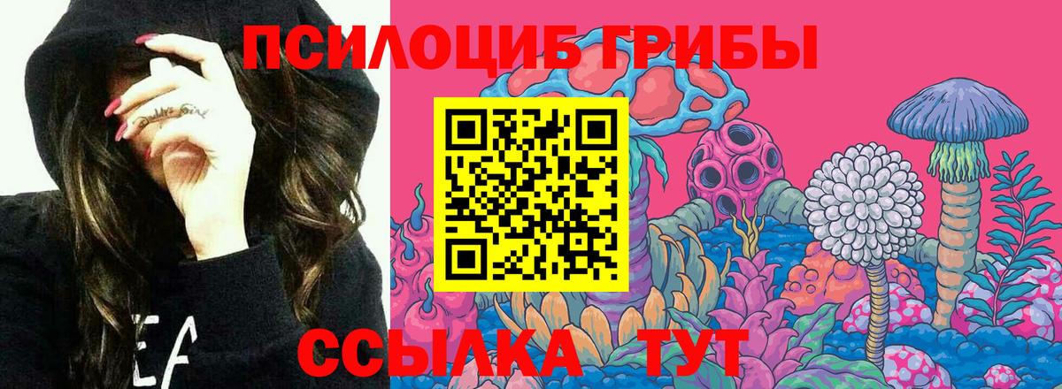 Псилоцибиновые грибы мухоморы Тара