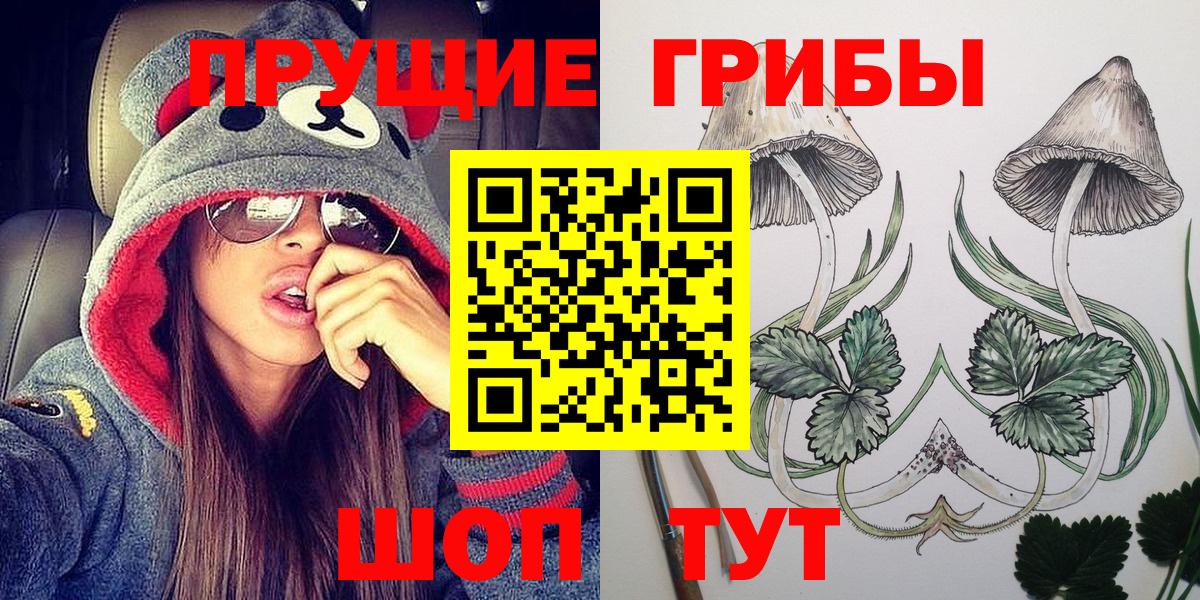 Галлюциногенные грибы прущие грибы  Вход с VPN  Тара  Галлюциногенные грибы Cubensis 